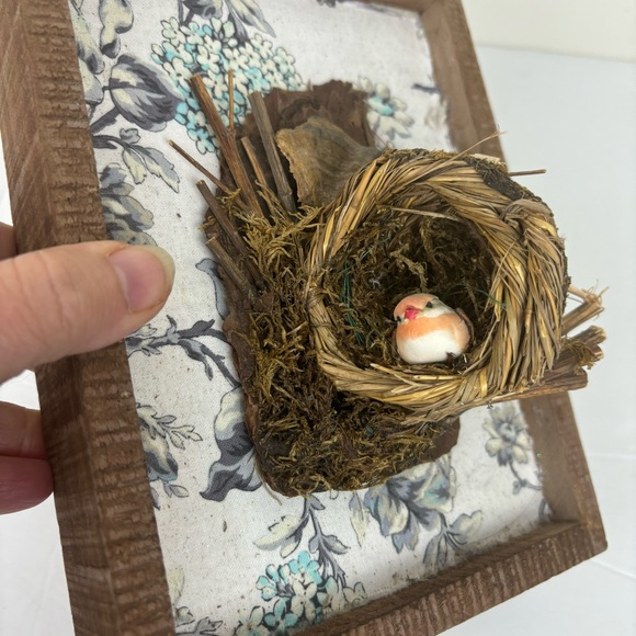 Lovingkindness home accents- Mixed media birds nest art in rustic frame - Picture 5 of 11